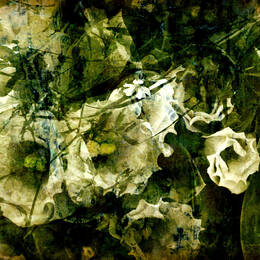 Werk uit de serie Vanishing Forest
